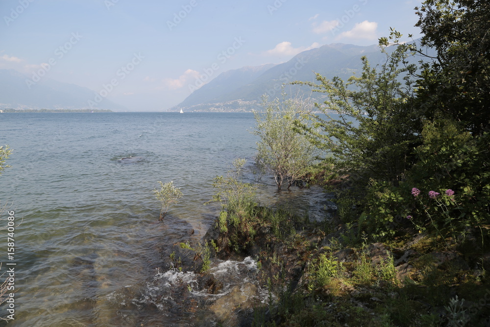 Isole di Brissago Isole di Brissago