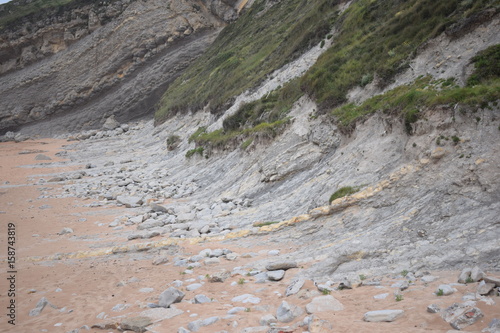 Wallpaper Mural Tagle Torontodigital.ca