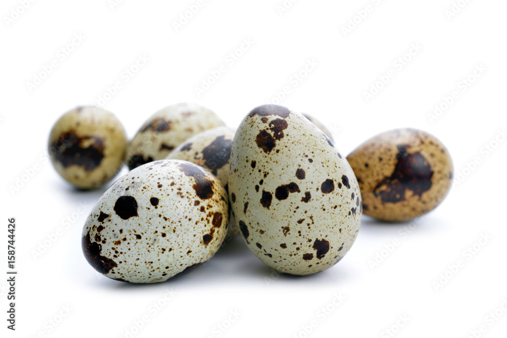 Quail egg isolated on a white background.