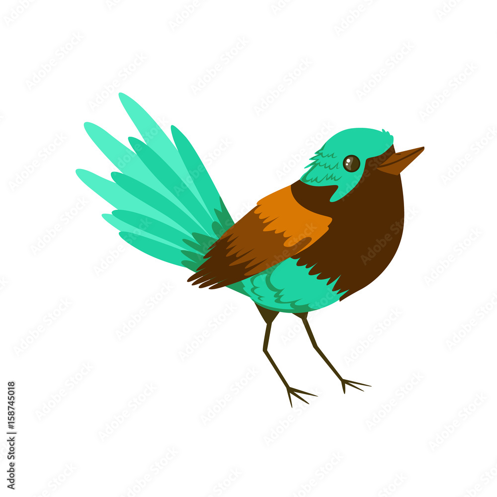 Obraz premium Small bright tropical bird colorful vector Illustration