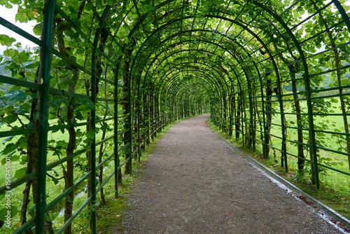 Grüne Gallerie -  bepflanzter Bogengang 