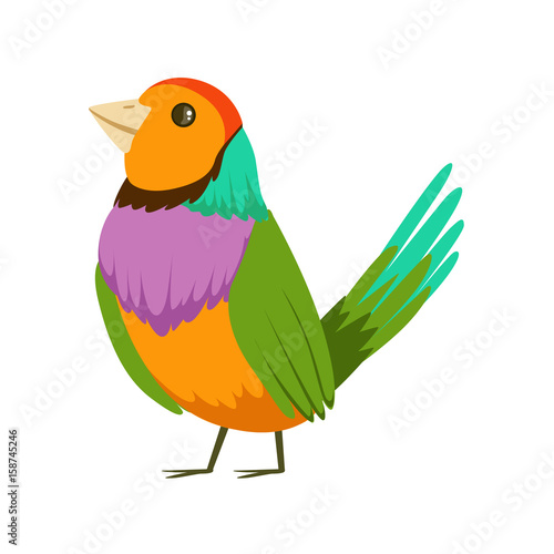 Colorful tropical bird vector Illustration