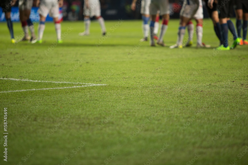 Soccer Stadium Grass Background