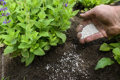 Dünger für den Garten - Gartenkalk photo