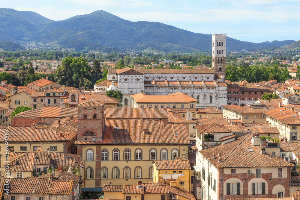 Panoramic view from Guinigi tower (Torre Guinigi) towards St. Martin Cathedral in Lucca