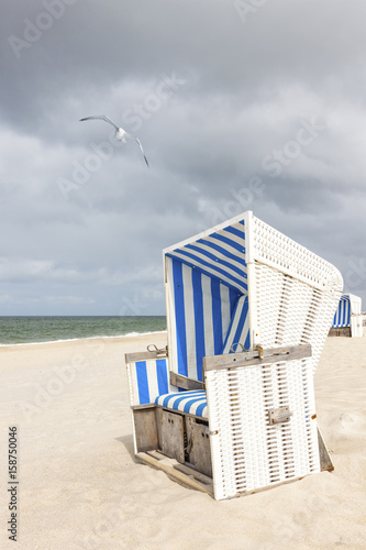Beach chair and seagull at Sylt