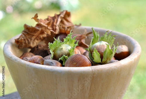 noisettes fraîches dans un bol en bois,