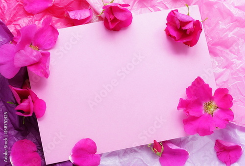 Pink roses on a pink paper background and a pink blank for text