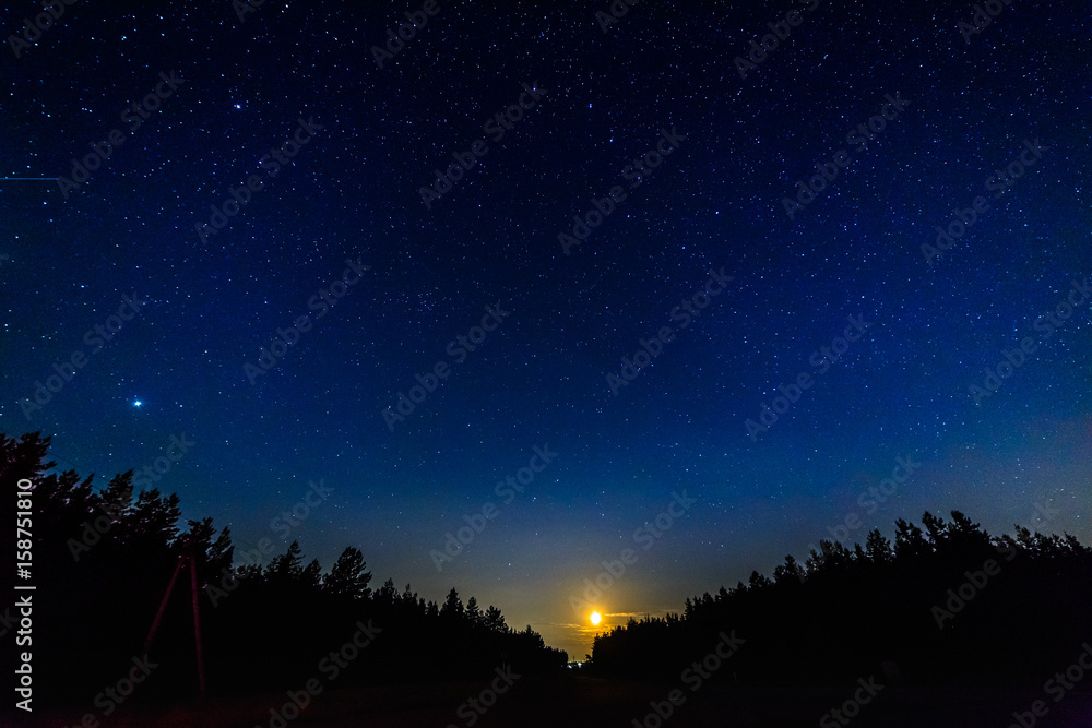 Milky way and starry sky over the forest.