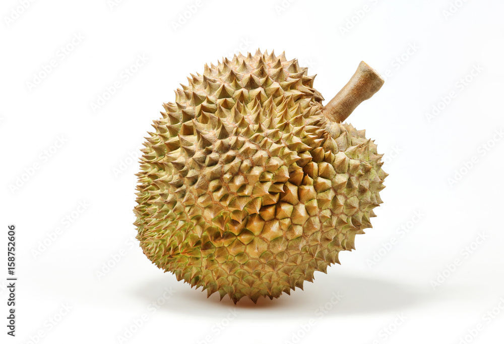King of fruits, durian isolated on white background. King of fruits, durian isolated on white background.