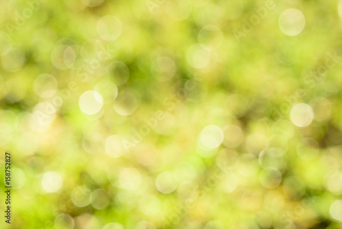 abstract nature background with blurry bokeh defocused lights