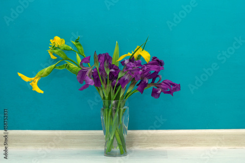 Fototapeta Naklejka Na Ścianę i Meble -  yellow and purple irises in a glass vase in front of the blue wall