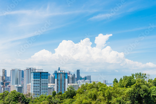 Singapore City with rich forest in blue sky and cloud   View point from Henderson Wave  Singapore
