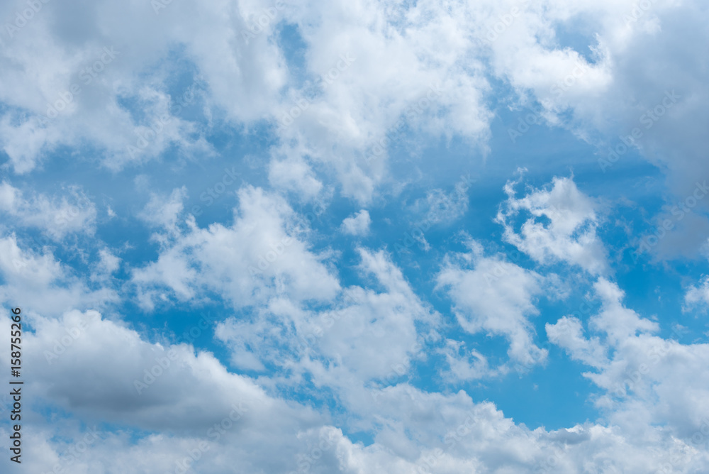 Fototapeta premium blue sky and white clouds