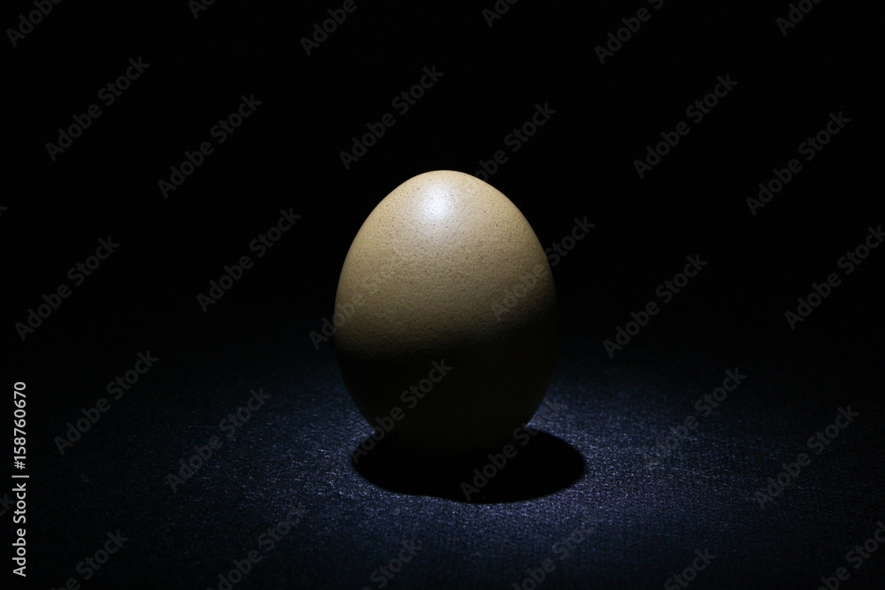 Egg on a dark background with partial lighting Egg on a dark background with partial lighting