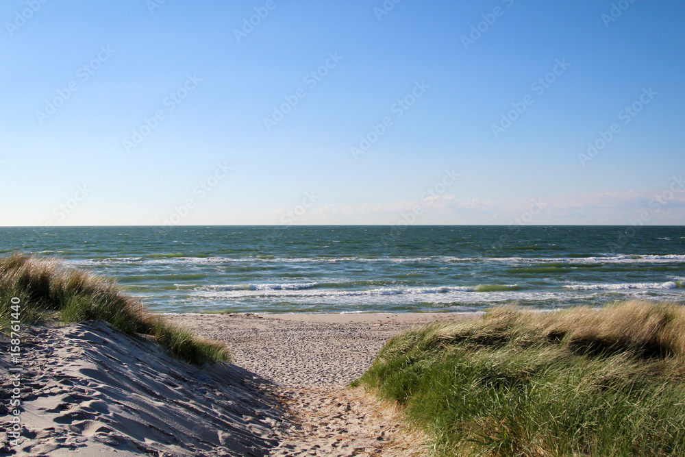 Urlaub am Meer, Dünen, Gras, Küste, Natur Urlaub am Meer, Dünen, Gras, Küste, Natur