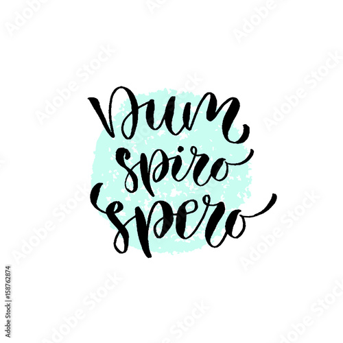 Latin vector phrase - dum spiro spero. Modern calligraphic print. Handwritten quote for cards, poster or t-shirt. photo