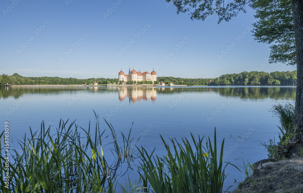 Fototapeta premium Schloss Moritzburg bei Dresden