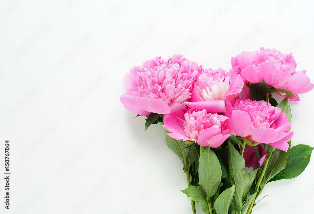 Beautiful bouquet of pink peonies on a white background. top view. copy space