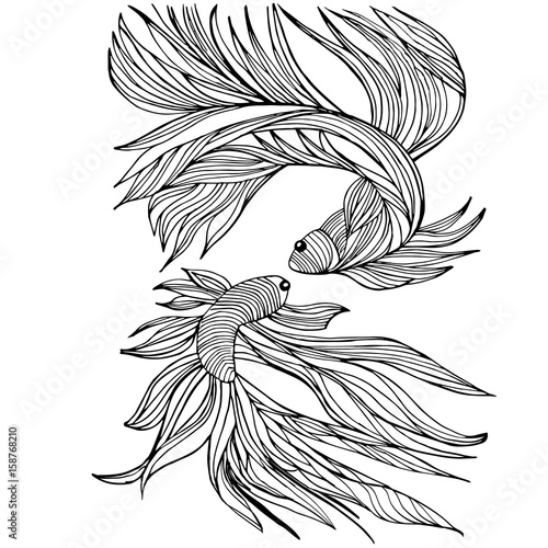 Two small fishes, yin-yang, hand-drawn, vector illustration.