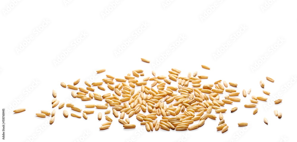 Oat grains isolated on white background Oat grains isolated on white background