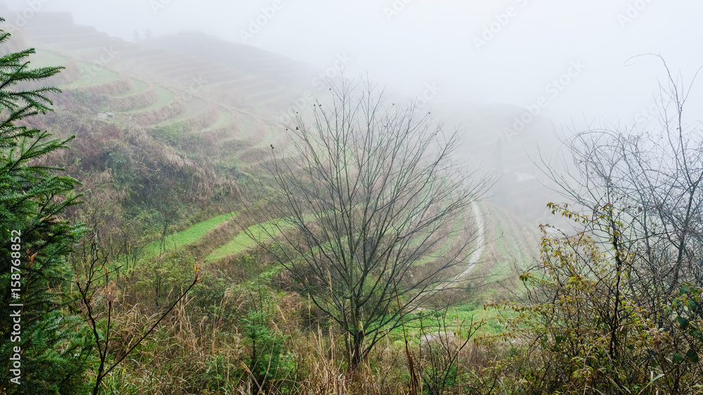 view of rice terraced hills in fog view of rice terraced hills in fog