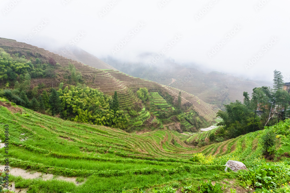 view of wet terraced rice fields under clouds