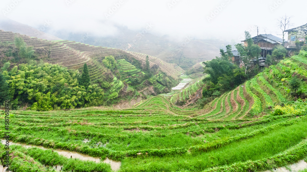 terraced rice fields and Tiantouzhai village
