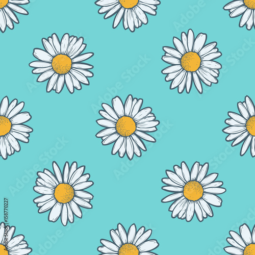 Fototapeta Naklejka Na Ścianę i Meble -  Chamomile, camomile flower floral vector seamless pattern. White flower on blue