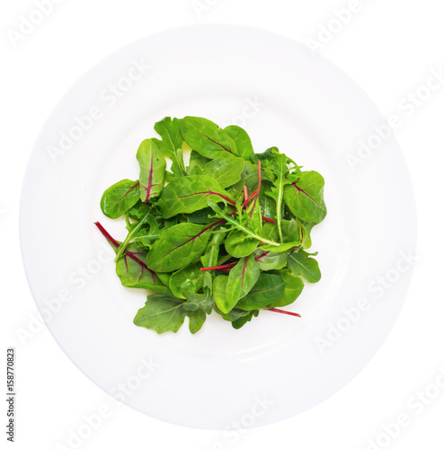 Salad of  chard and ruccola on plate
