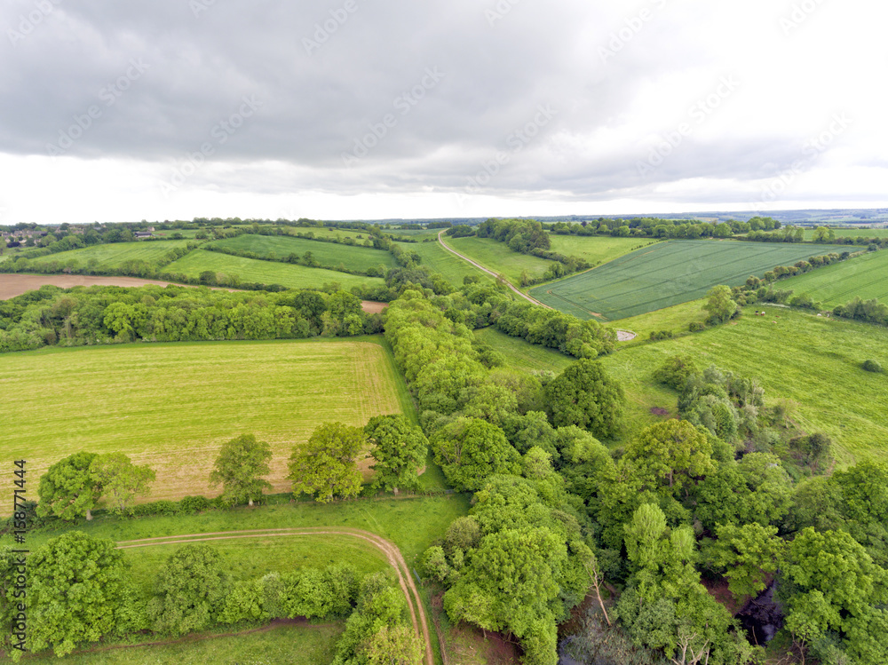 Rural landscape of green fields, meadow crossed by walking paths, hedgerow, trees, on an overcast summer day , aerial view . Rural landscape of green fields, meadow crossed by walking paths, hedgerow, trees, on an overcast summer day , aerial view .