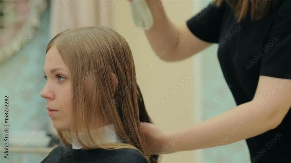 Female hairdresser hold in hand between fingers lock of hair, comb and scissors closeup. Trim the tips of the hair by scissors. stages of hair salon haircuts. wash hair before the haircut. Female hairdresser hold in hand between fingers lock of hair, comb and scissors closeup. Trim the tips of the hair by scissors. stages of hair salon haircuts. wash hair before the haircut.