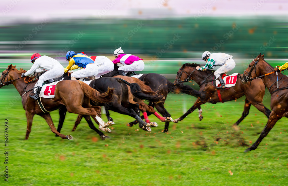 Race horses with jockeys on the home straight Race horses with jockeys on the home straight