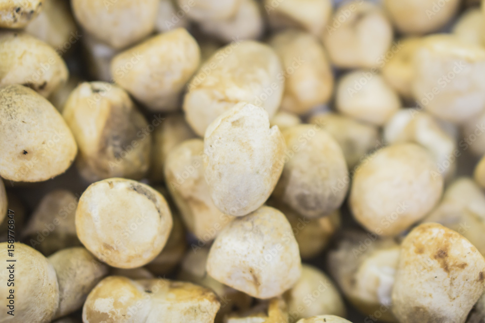 Obraz premium Volvariella volvacea, Straw Mushroom, azjatyckie grzyby, na rynku, selektywne skupienie.