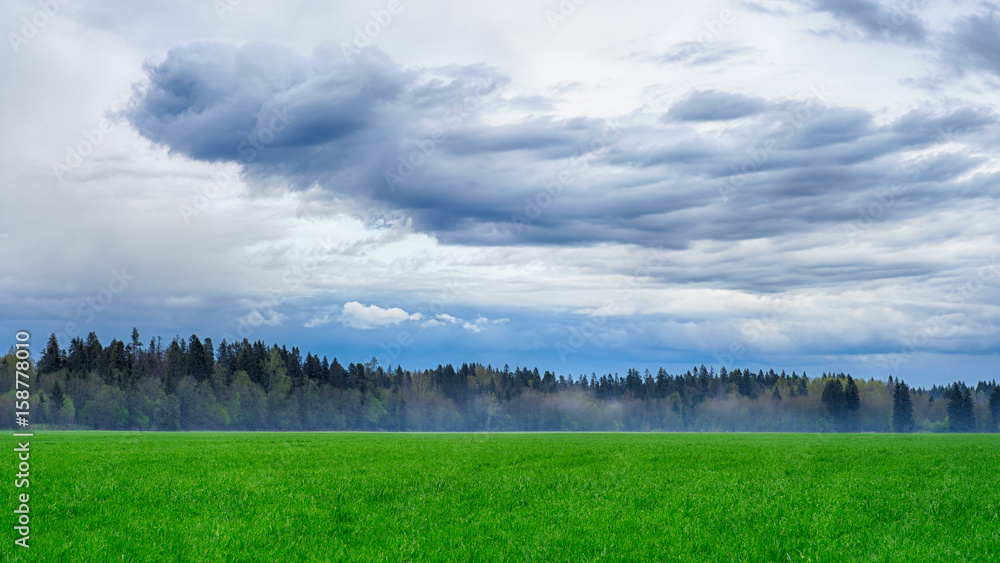 Obraz premium White blue sky background texture