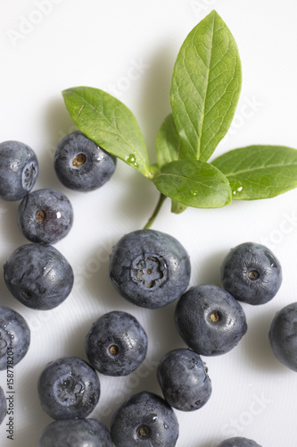 Fresh blue blueberries