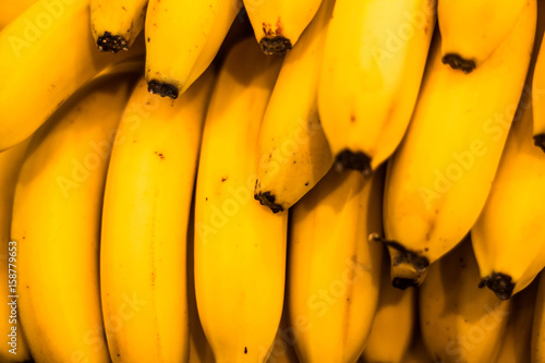 many bananas
