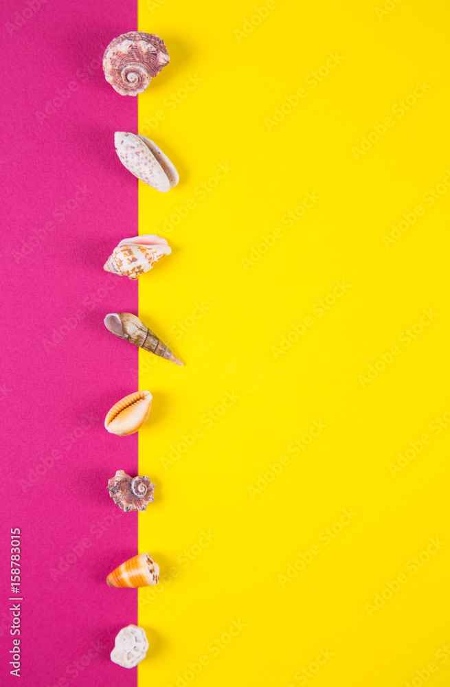 Sea shells on colored backgrounds with negative space, top view Sea shells on colored backgrounds with negative space, top view