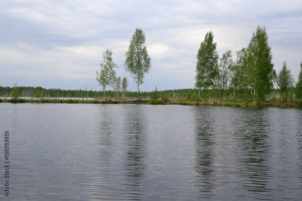 Fototapeta premium A large lake with the flooded forest