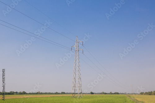High voltage post or High voltage tower in green field