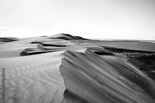 lost dune landscape in black and white photo