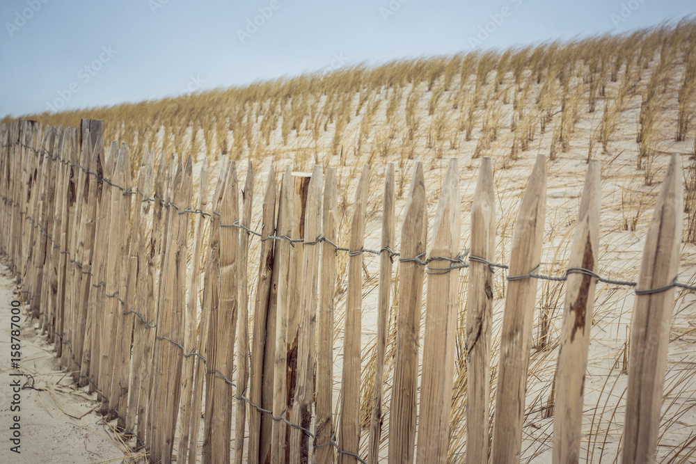 Fototapeta premium Zaun