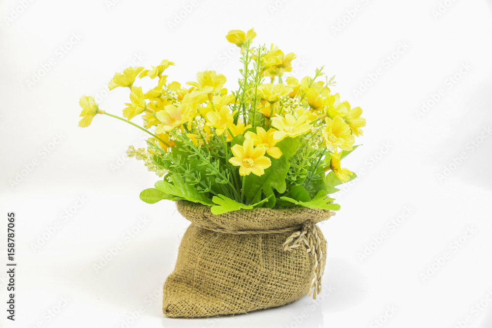 A pot of beautiful orange autumn chrysanthemums isolated on white background,beautiful bouquet of flower calendula officinalis in color plastic flowerpot,yellow chrysanthemum flowers in pot
