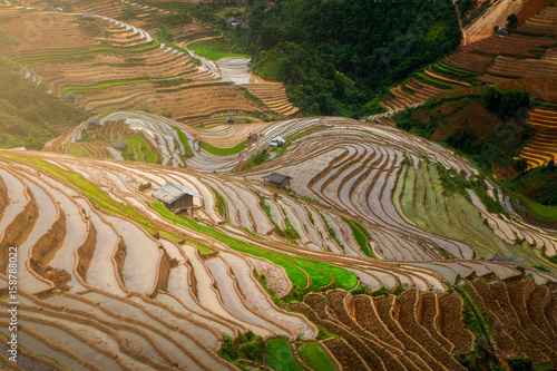 Wallpaper Mural Terraced ricefield in water season at Mu Cang Chai , Vietnam Torontodigital.ca