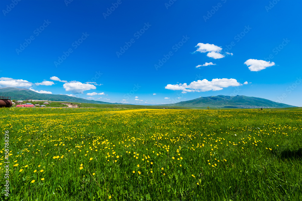 Amazing landscape with mountains and yellow field flowers, Armenia