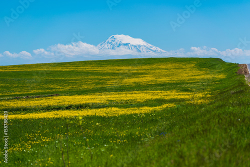 Beautiful view of Mount Ararat  Masis   Armenia