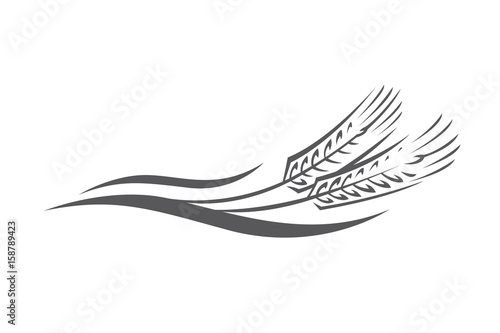 monochrome illustration of ears of wheat logo