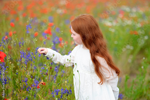 Fotografija Cute little child girl with red head holding a flower outdoors in poppy field