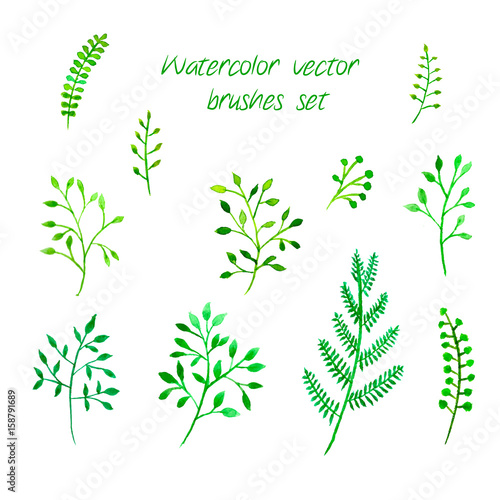 Vector watercolor brushes set. Hand drawn floral elements for your design. Can be used for invitations, greeting, wedding, anniversary card