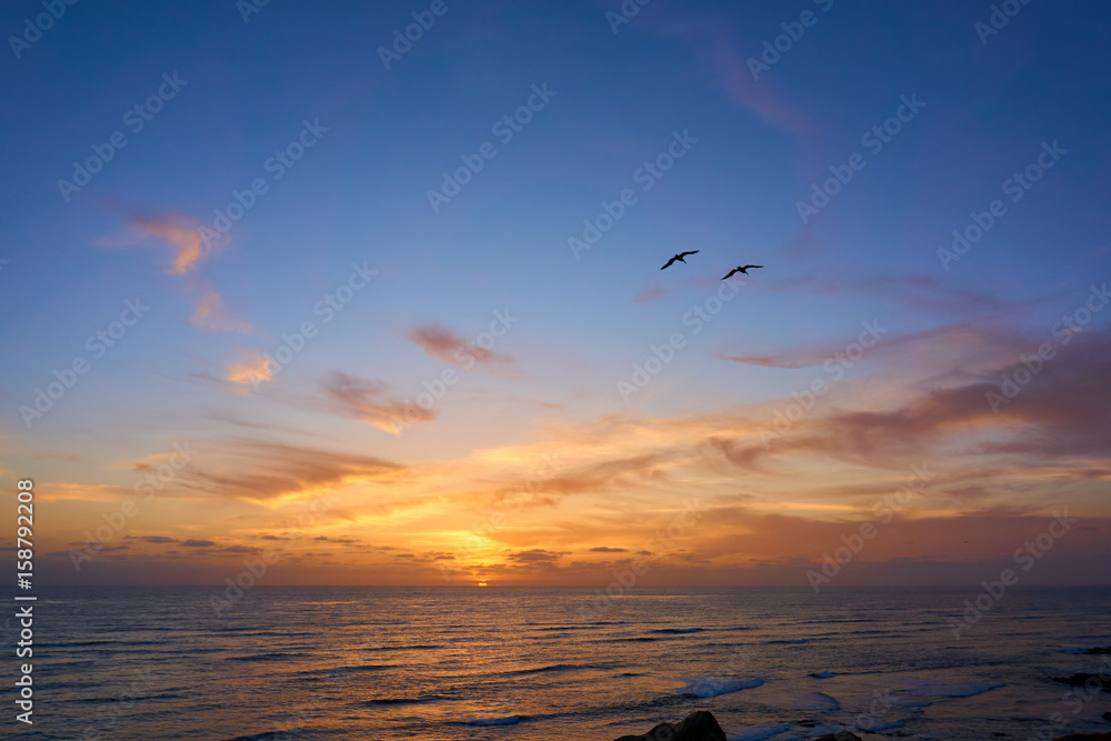zwei Vögel fliegen vor dem malerischen Sonnenuntergang am Meer, Pazifik, San Diego, Amerika